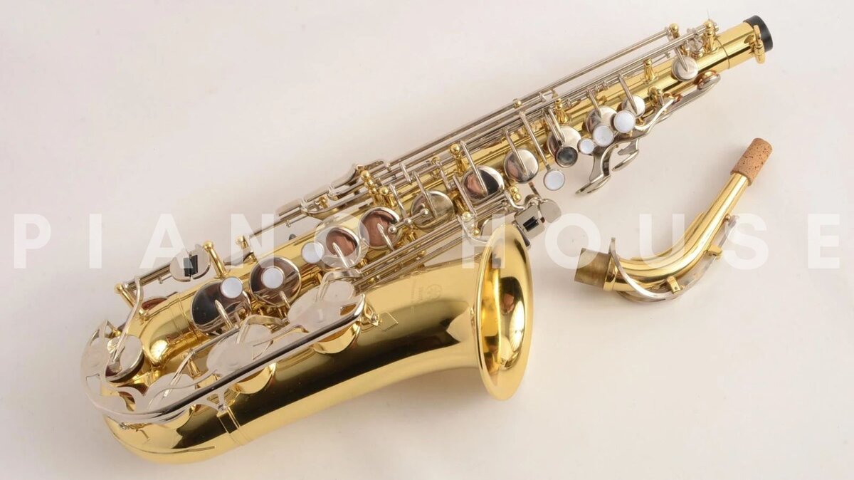 Chi tiết đàn Kèn Alto Saxophone AS-130AB (Vàng đồng) - Hình 4